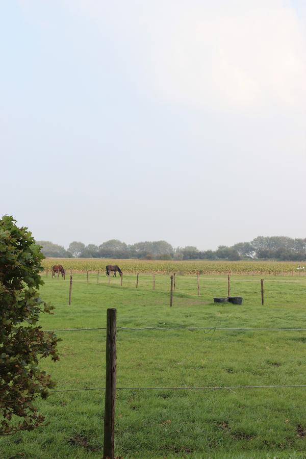 Gastenverblijven Boerderij Het Driespan ميدلبورغ المظهر الخارجي الصورة